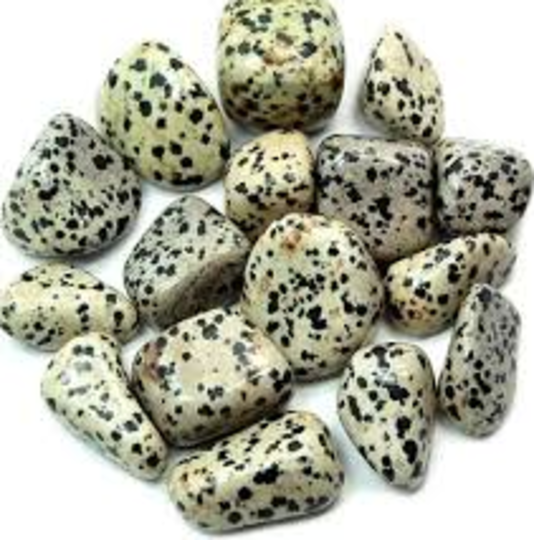 Small Dalmatian Stone Tumbled Piece image 0